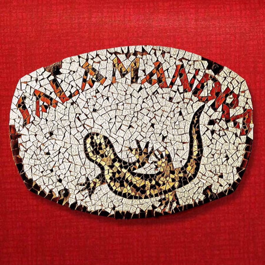 Salamandra Guest House بورتو سيغورو المظهر الخارجي الصورة
